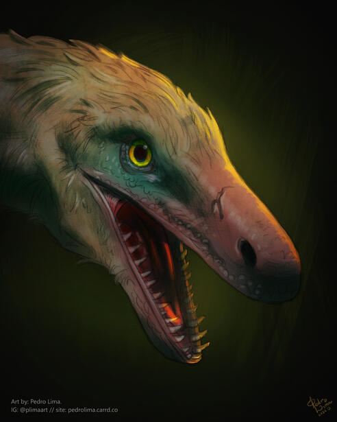 Velociraptor